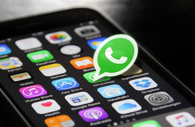 TUI отвечает на вопросы клиентов по Whatsapp